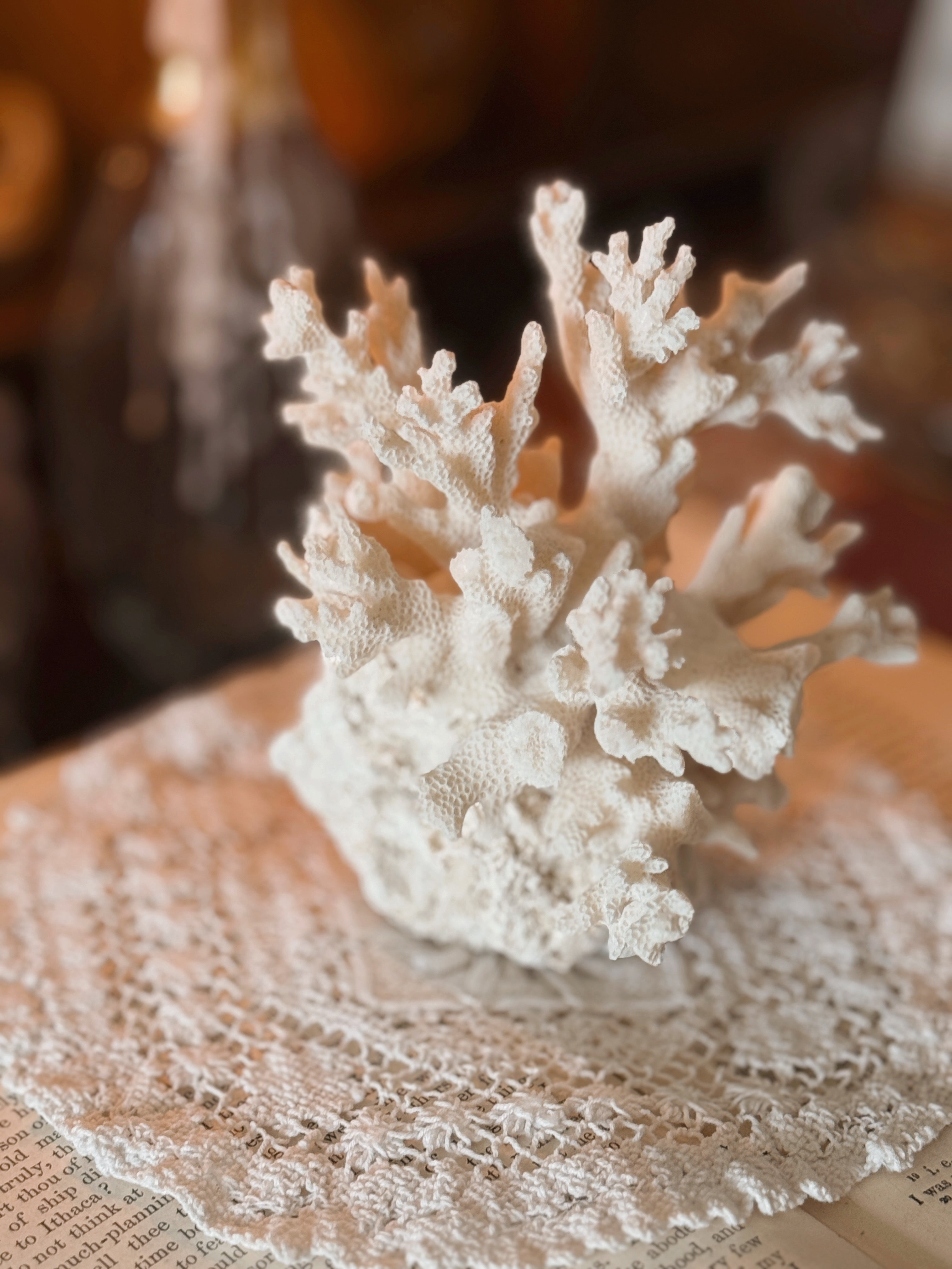 Vintage Natural Sea Coral