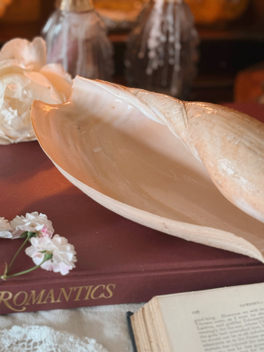 Vintage Cymbian Glans Shell