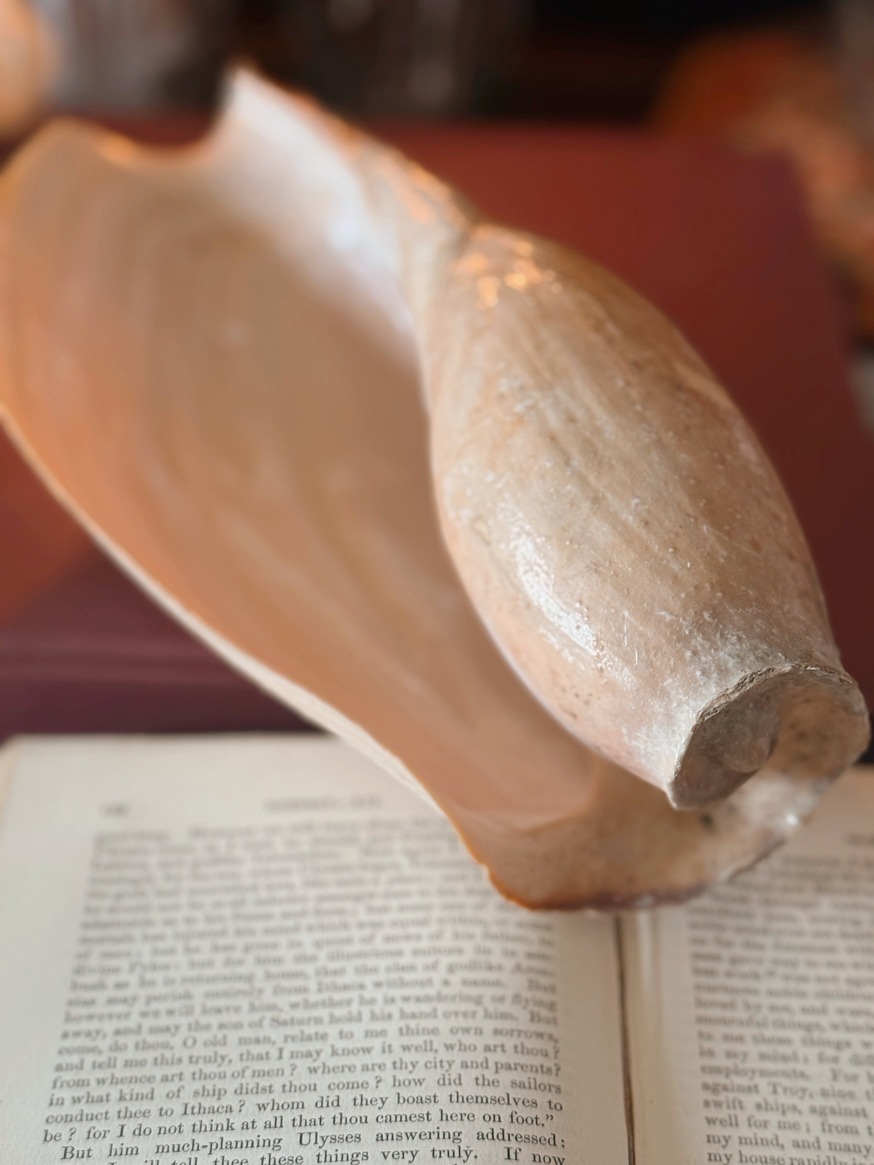 Vintage Cymbian Glans Shell