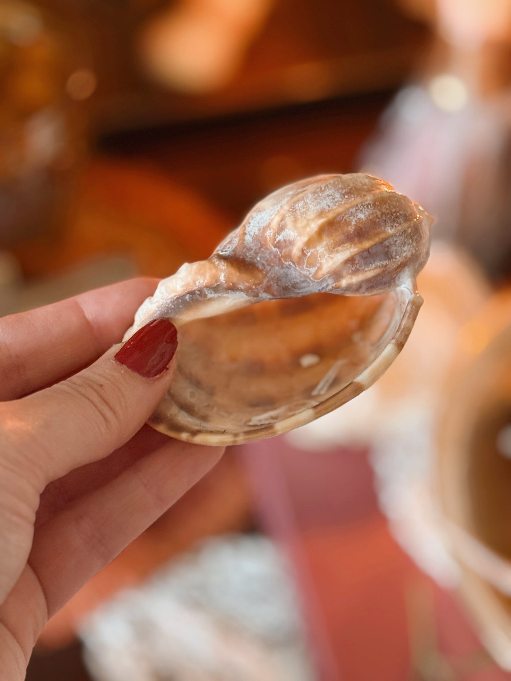 Mystery Shell