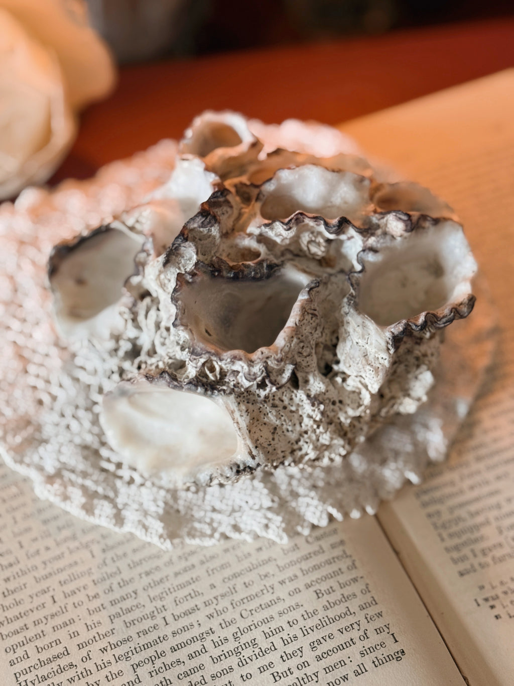 Vintage Shell