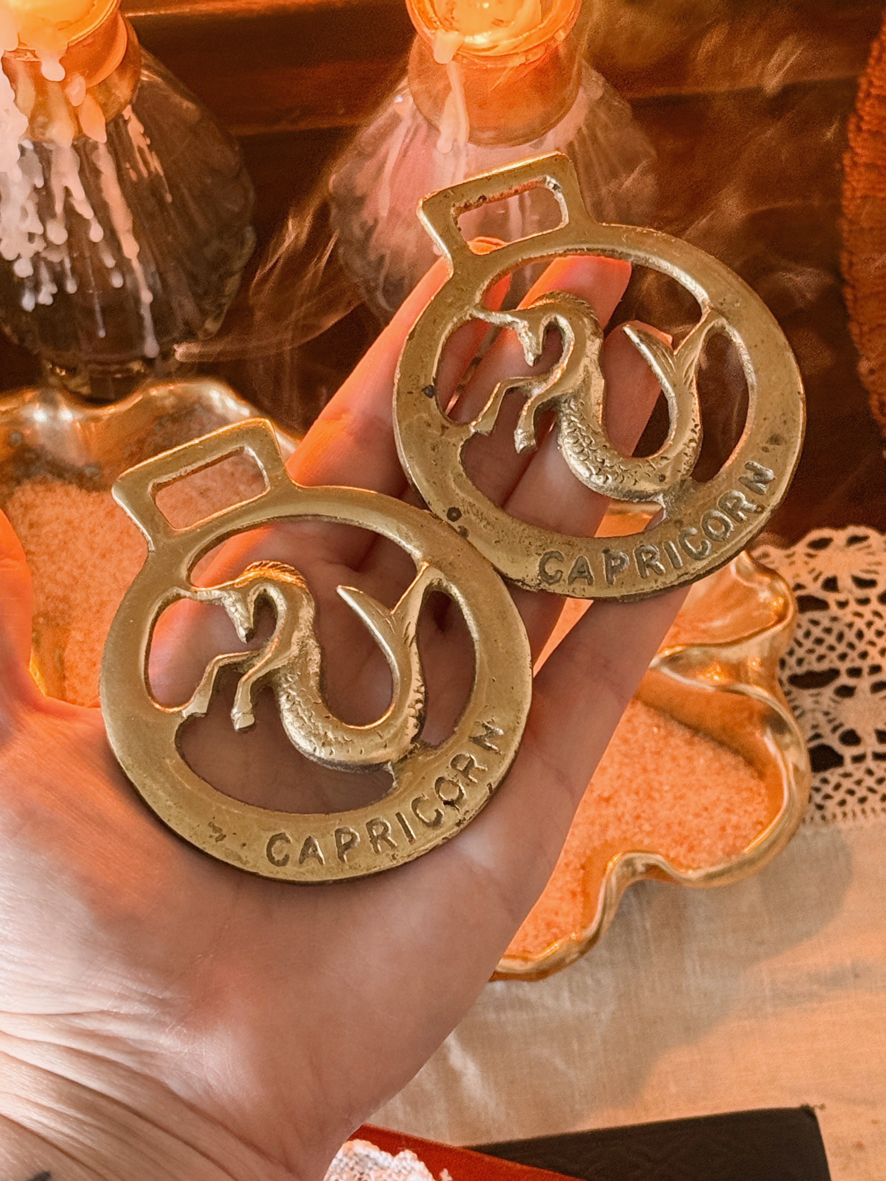 Vintage Brass Capricorn Medallion