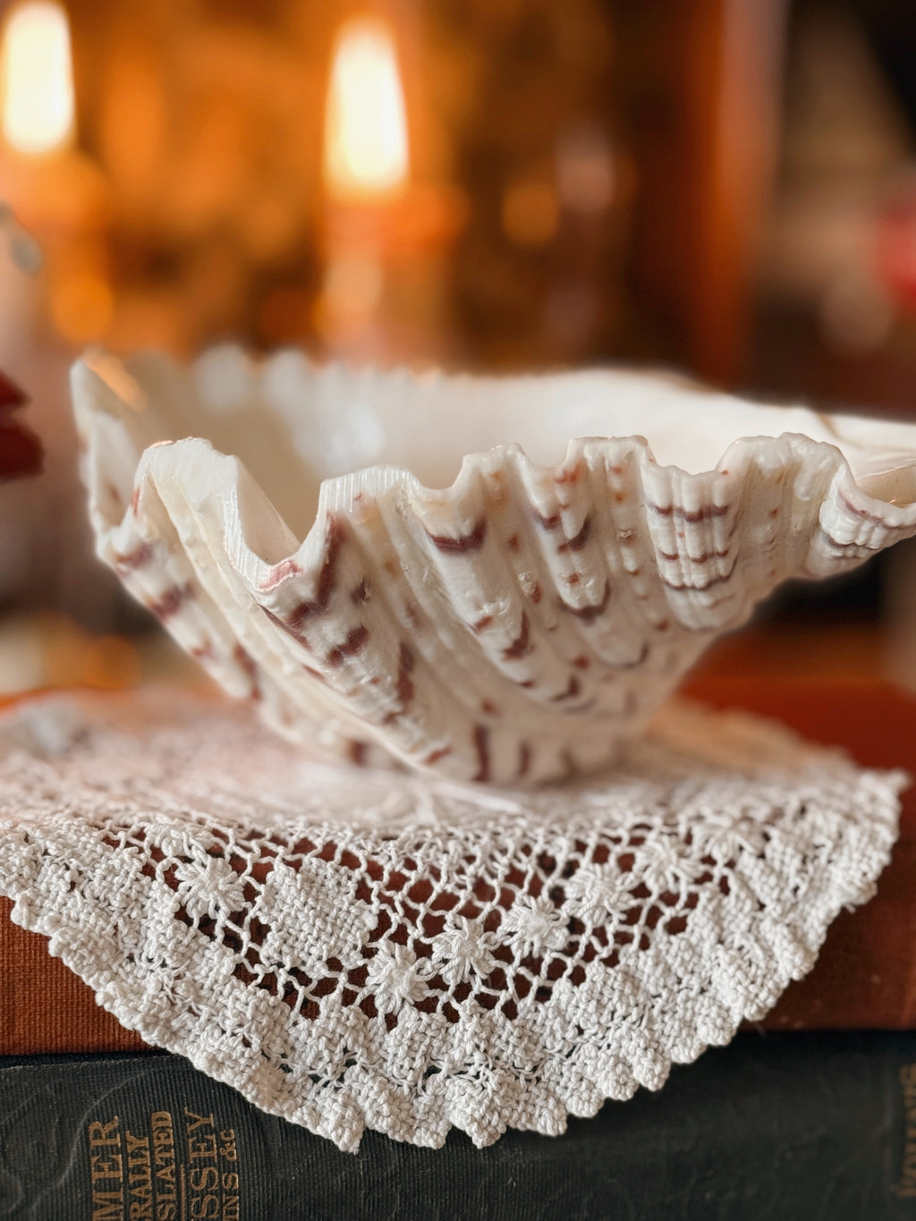 Vintage Clam Shell