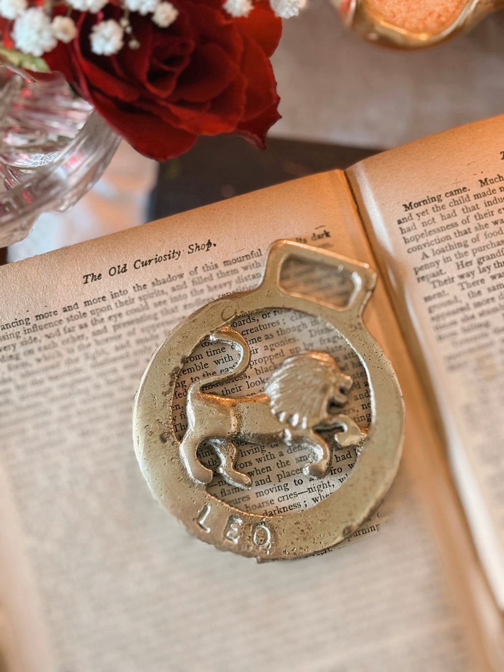 Vintage Brass Leo Medallion
