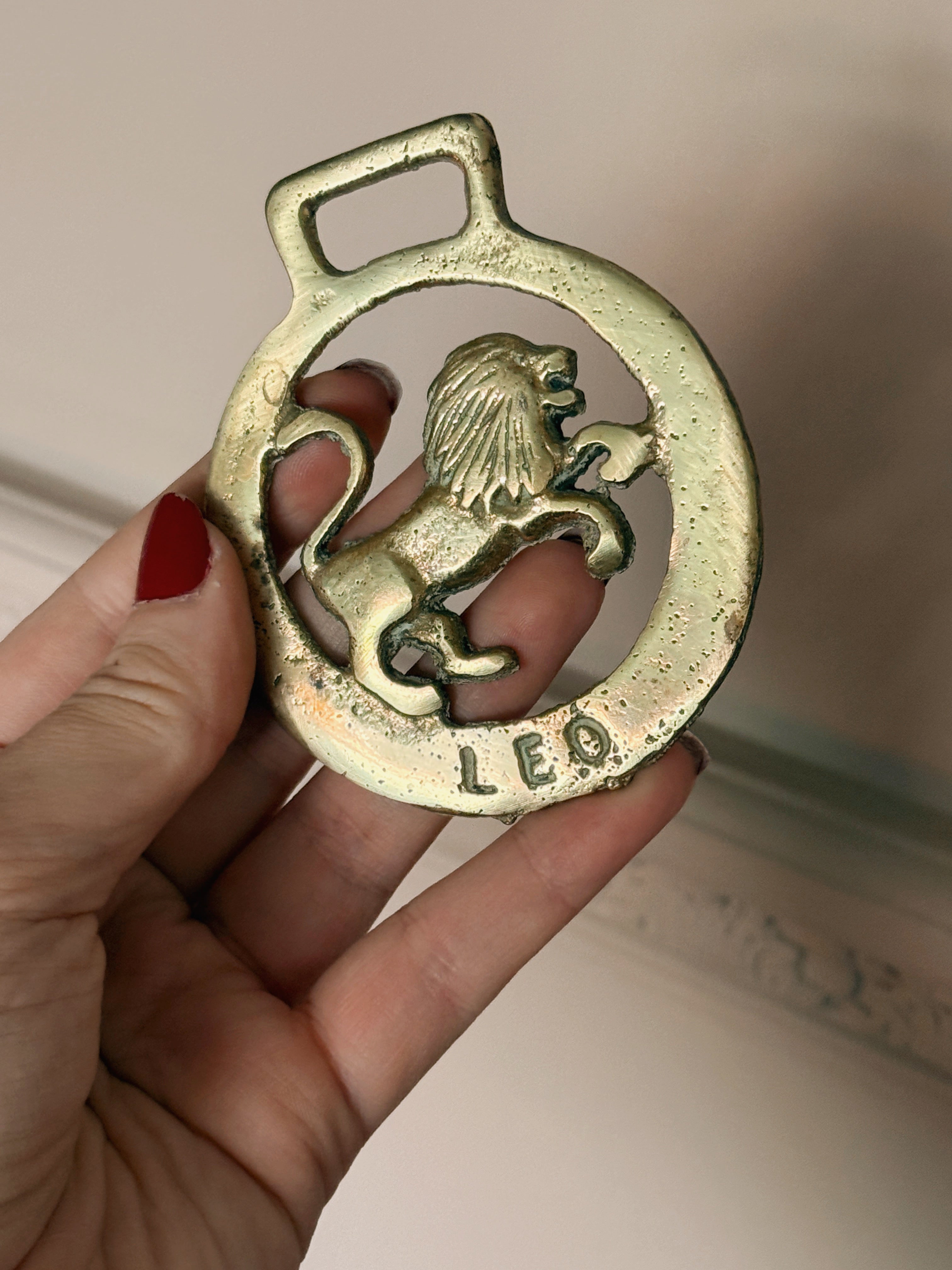 Vintage Brass Leo Medallion