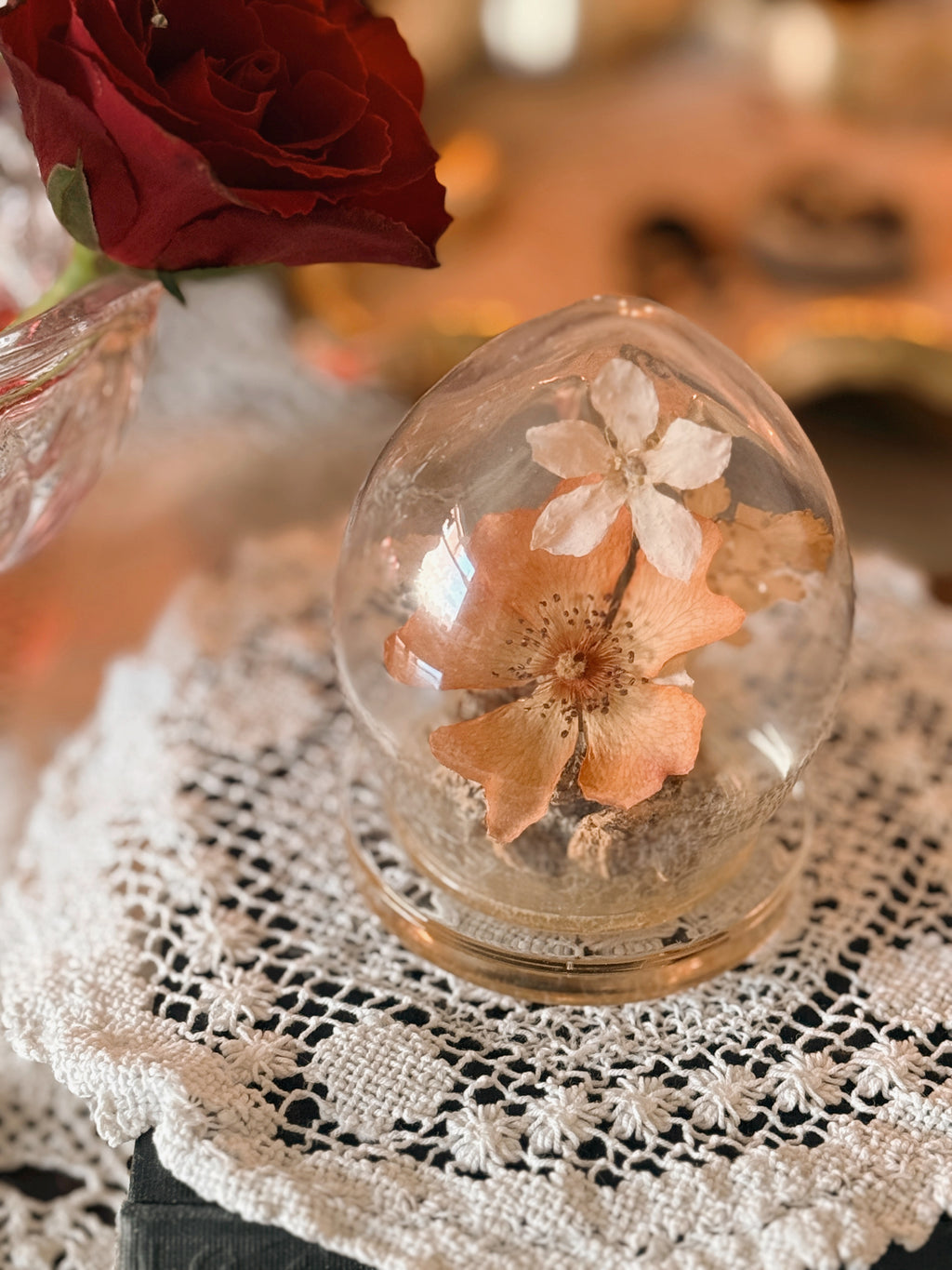 Vintage Preserved Flower Dome