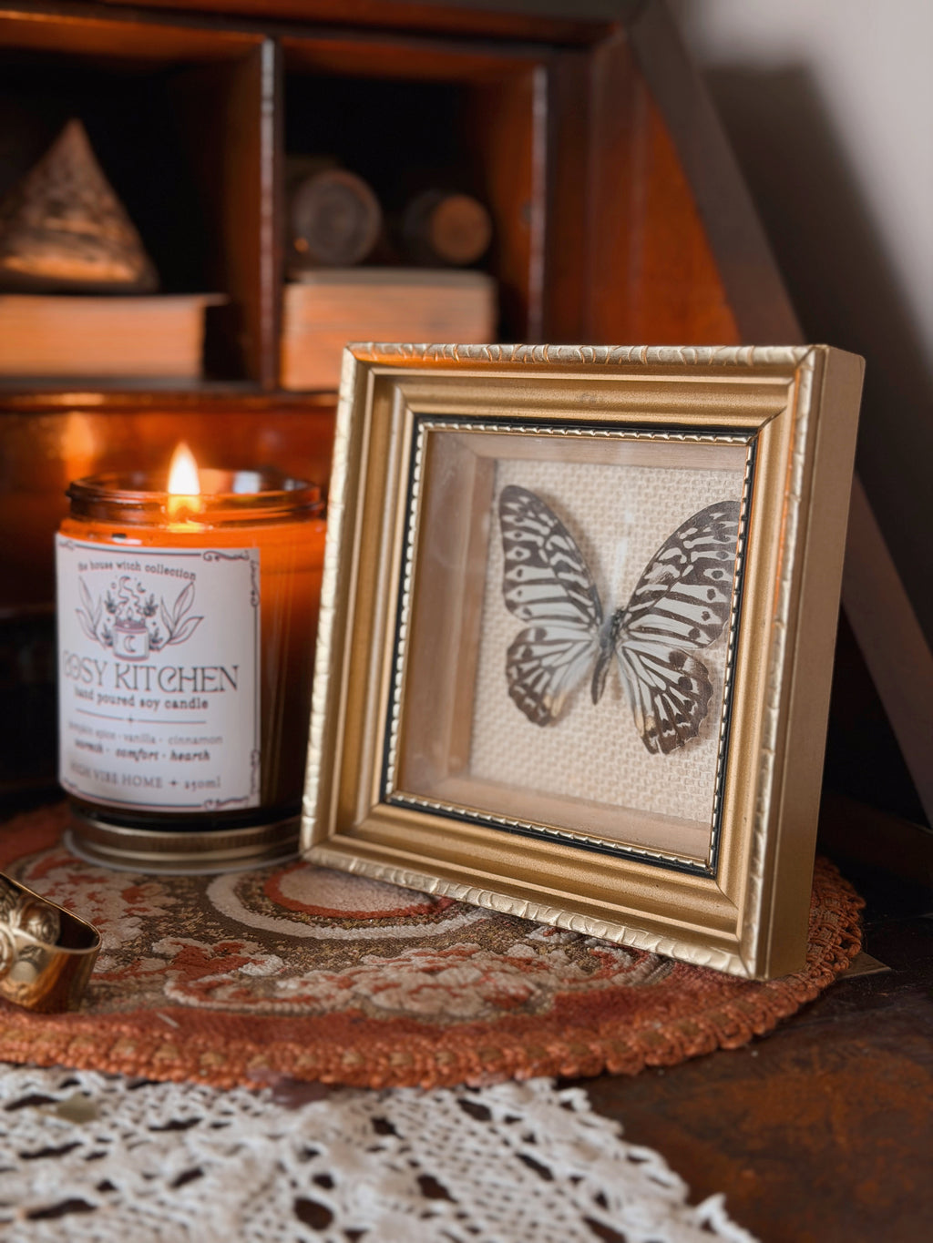 Vintage Framed Mulciber Butterfly