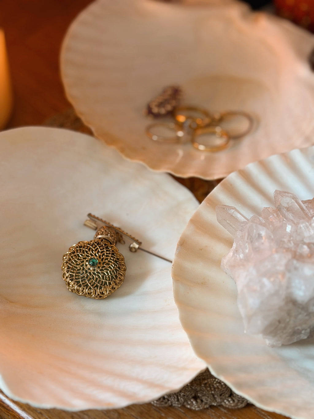 Extra Large Scallop Shell