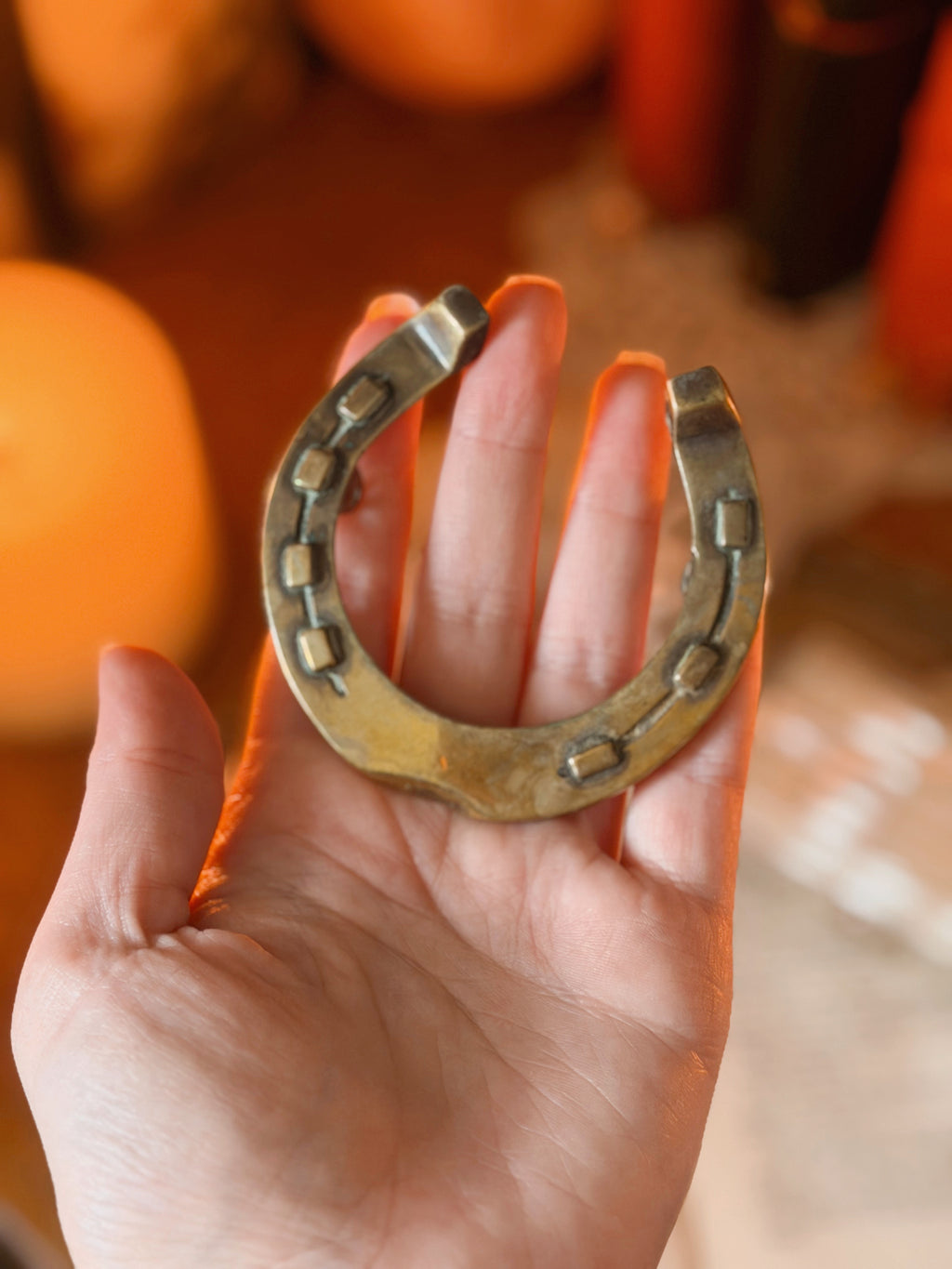 Vintage Brass Horseshoe