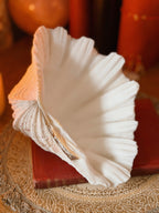 Vintage Clam Shell