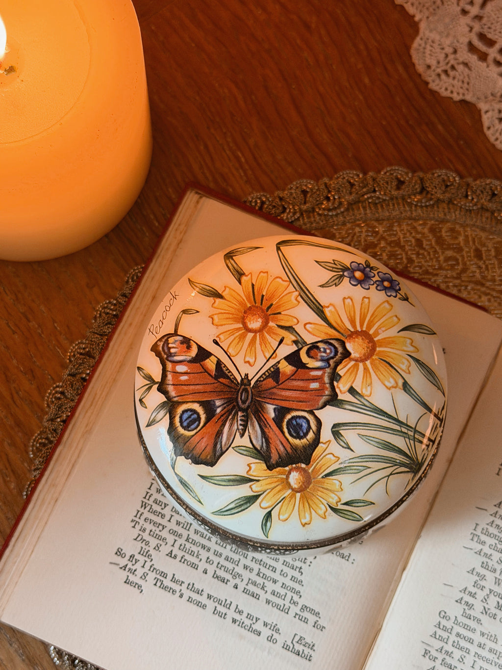 Vintage Butterfly Tin