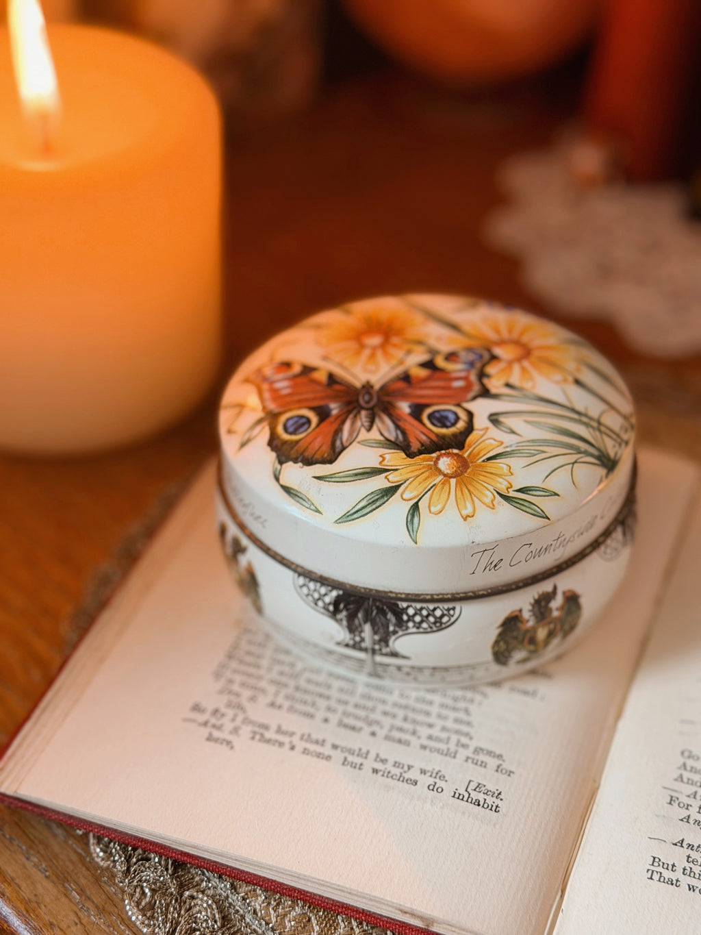 Vintage Butterfly Tin