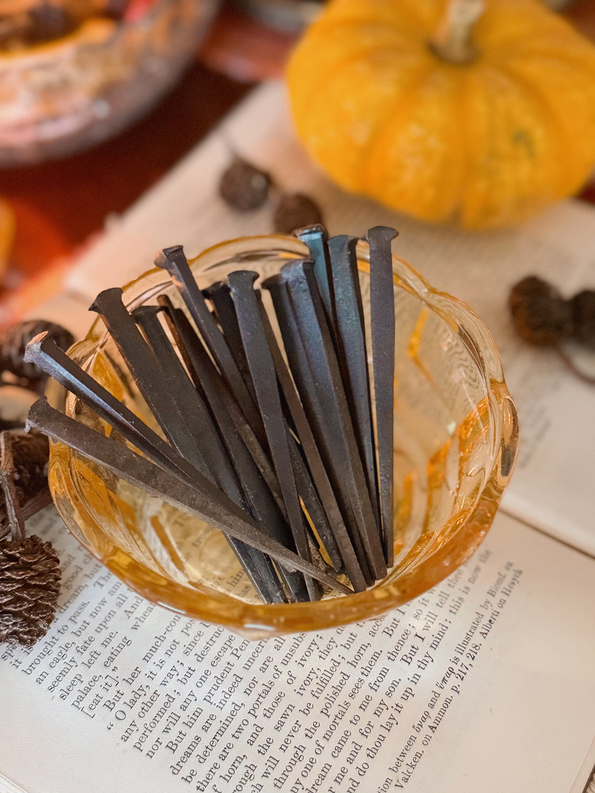 Vintage Iron Nails