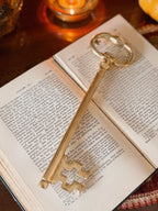 Vintage Brass Large Key