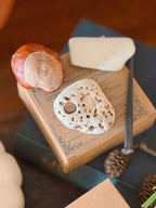 Blessed Samhain Boxes