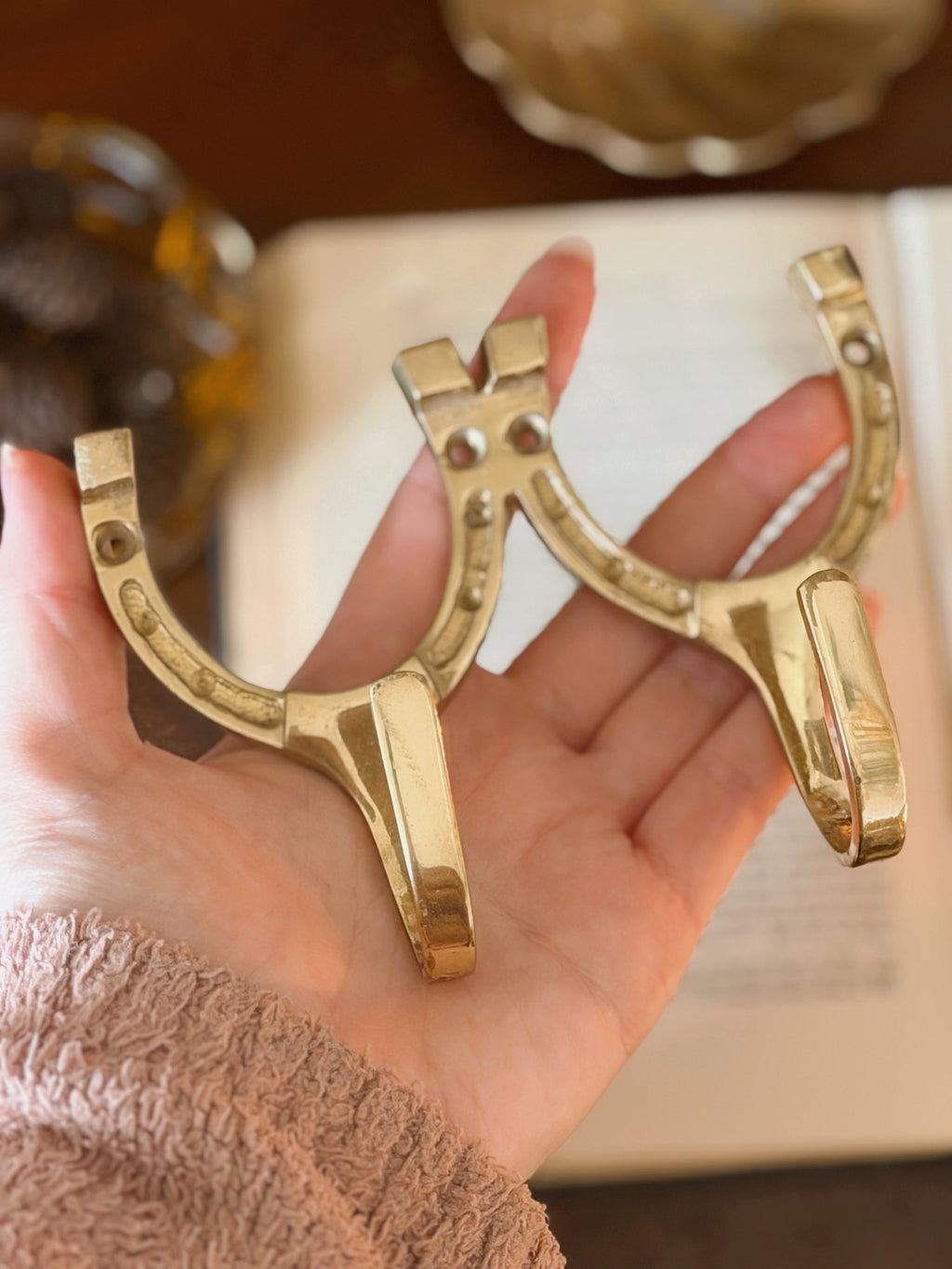 Vintage Brass Horseshoe Hooks