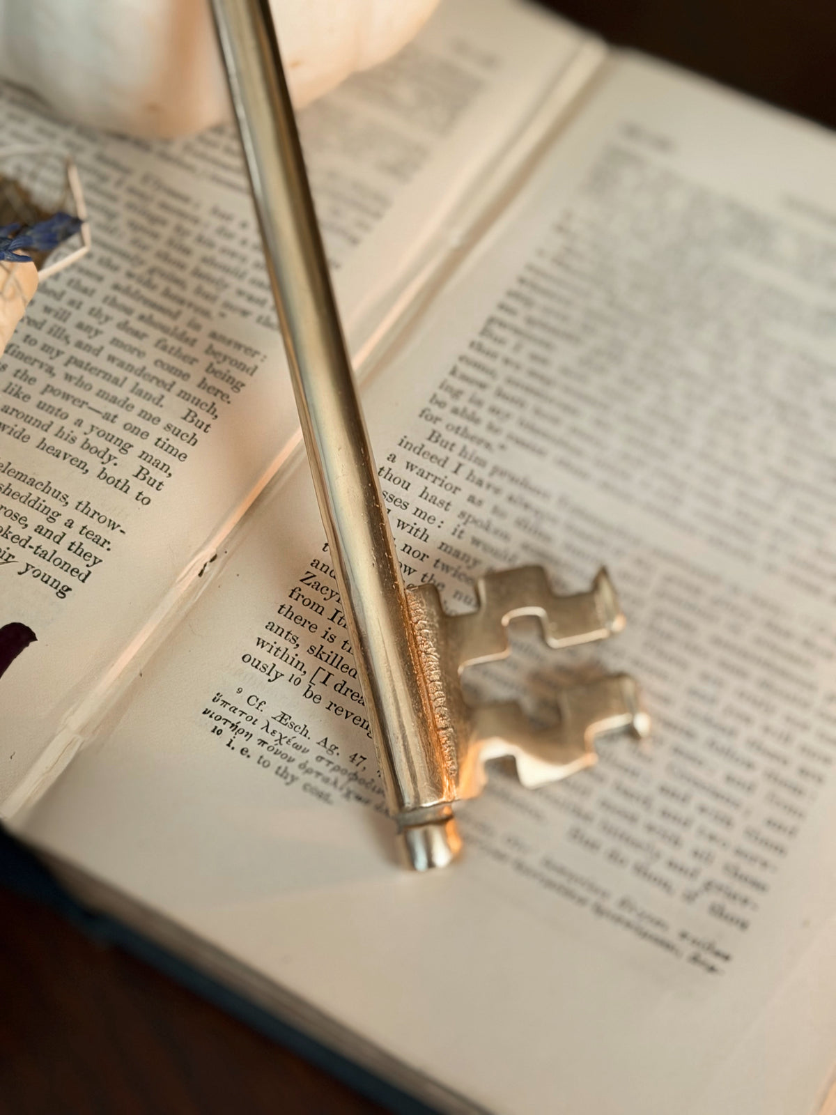 Vintage Brass Key