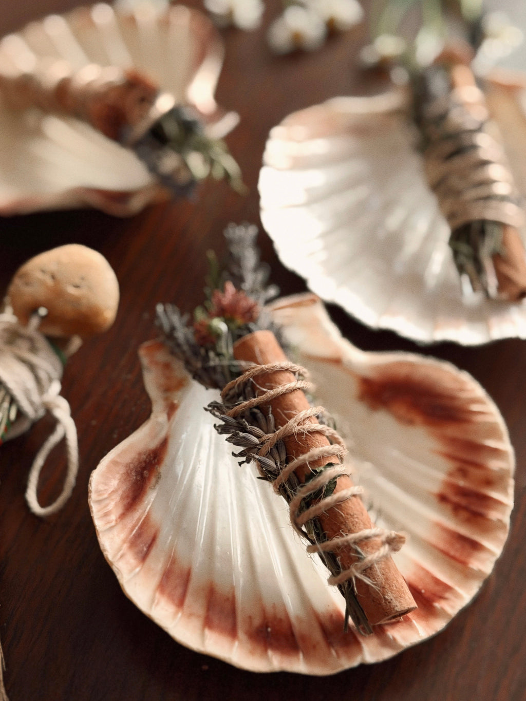 Smoke Bundle & Scallop Shell Set