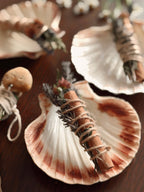 Smoke Bundle & Scallop Shell Set