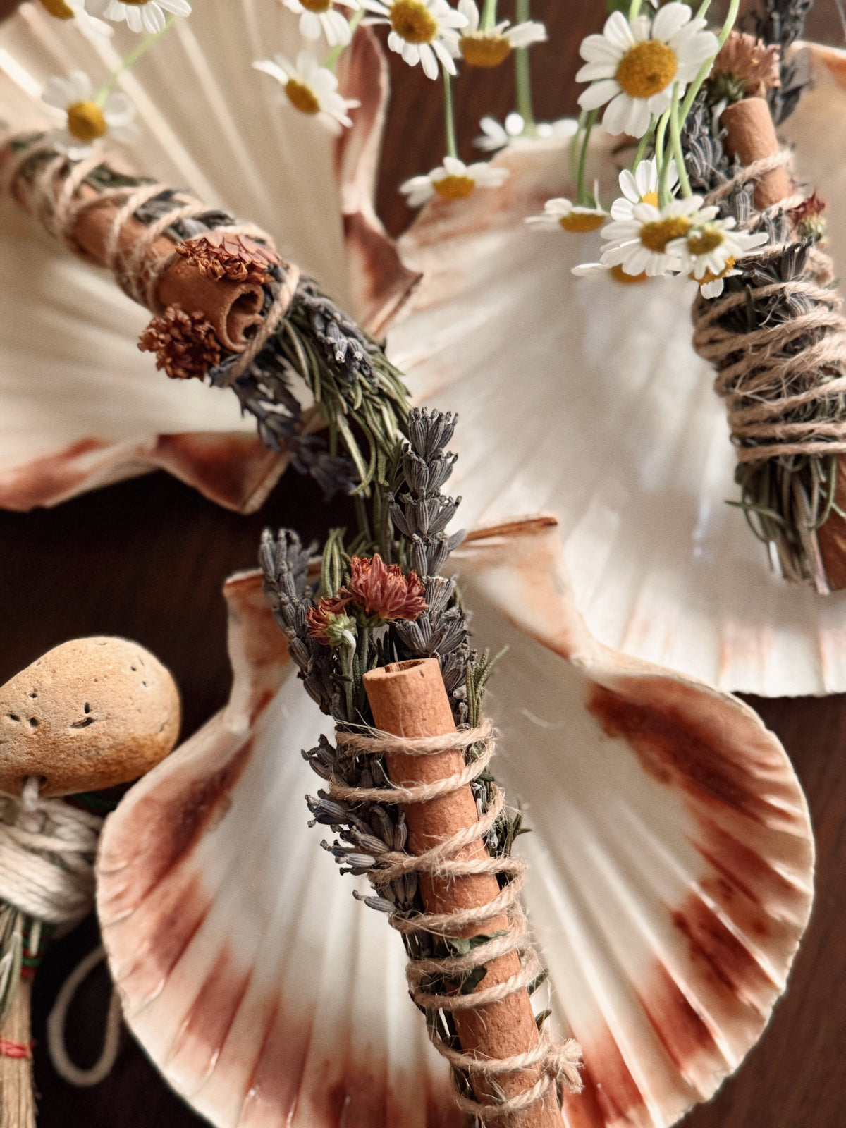 Smoke Bundle & Scallop Shell Set