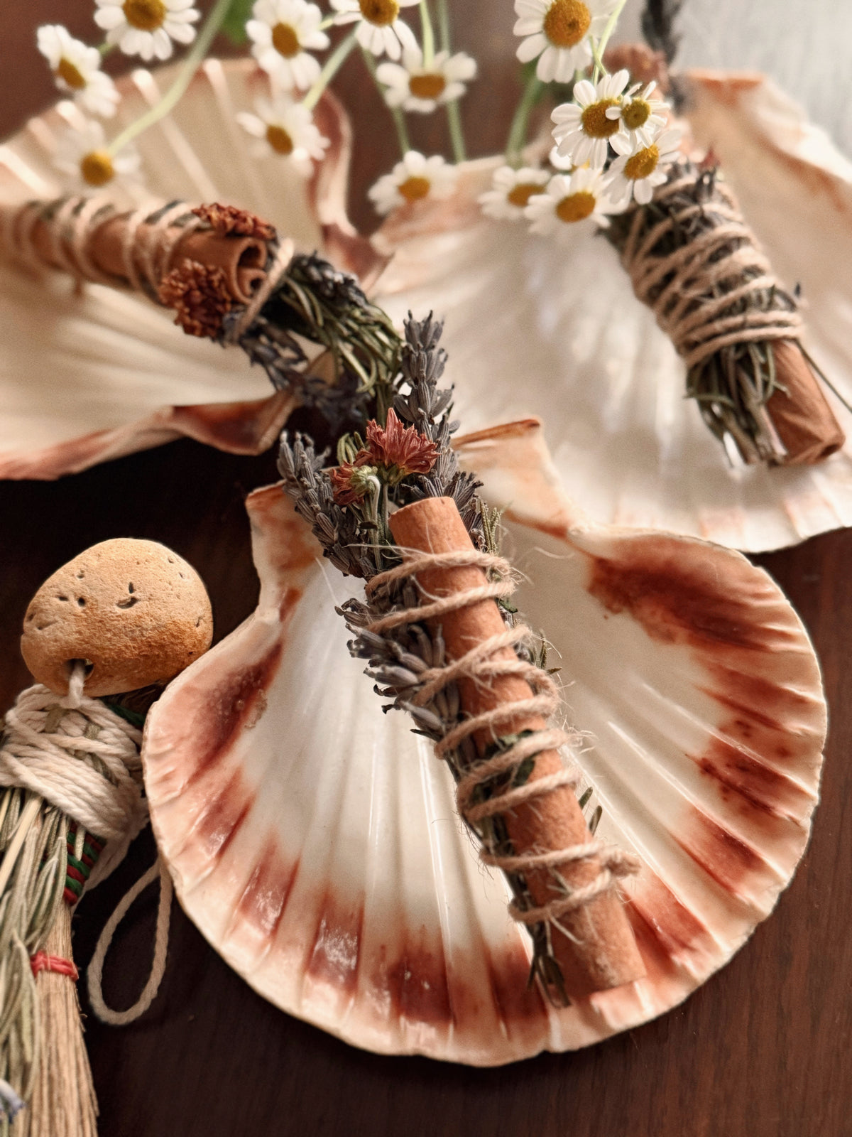 Smoke Bundle & Scallop Shell Set