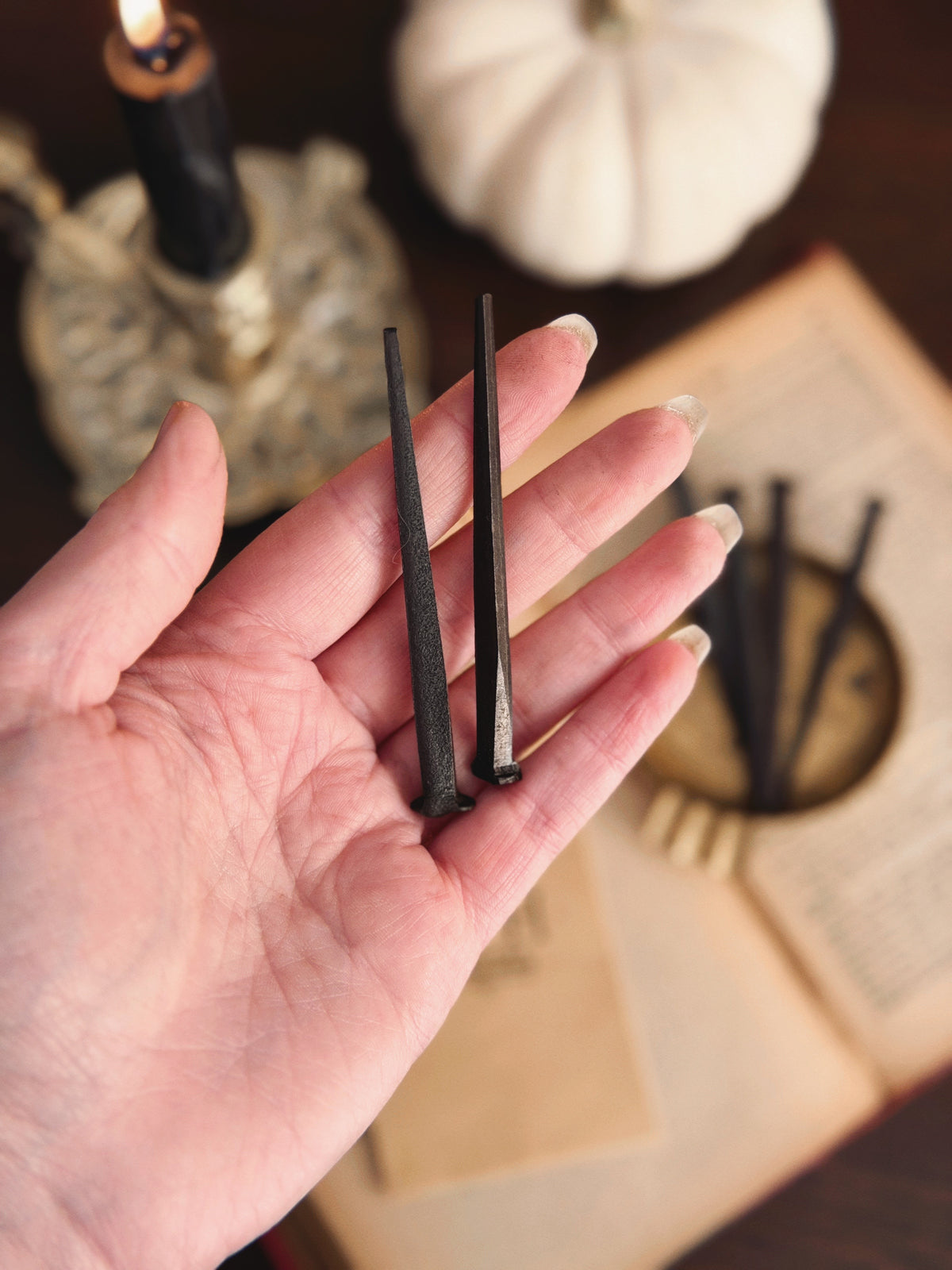 Vintage Iron Nails