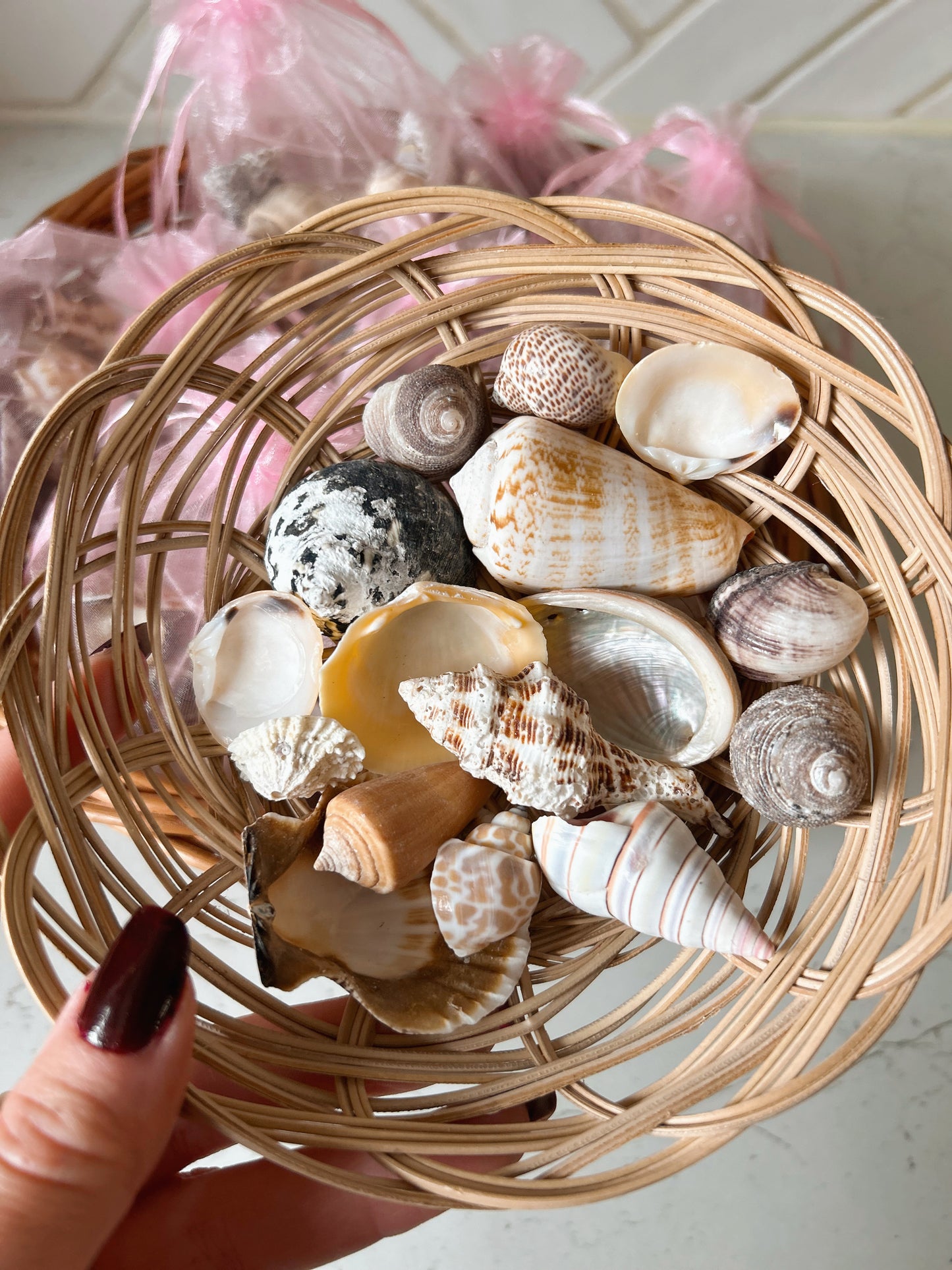 Lucky Dip Sea Witch Shell Starter Bags