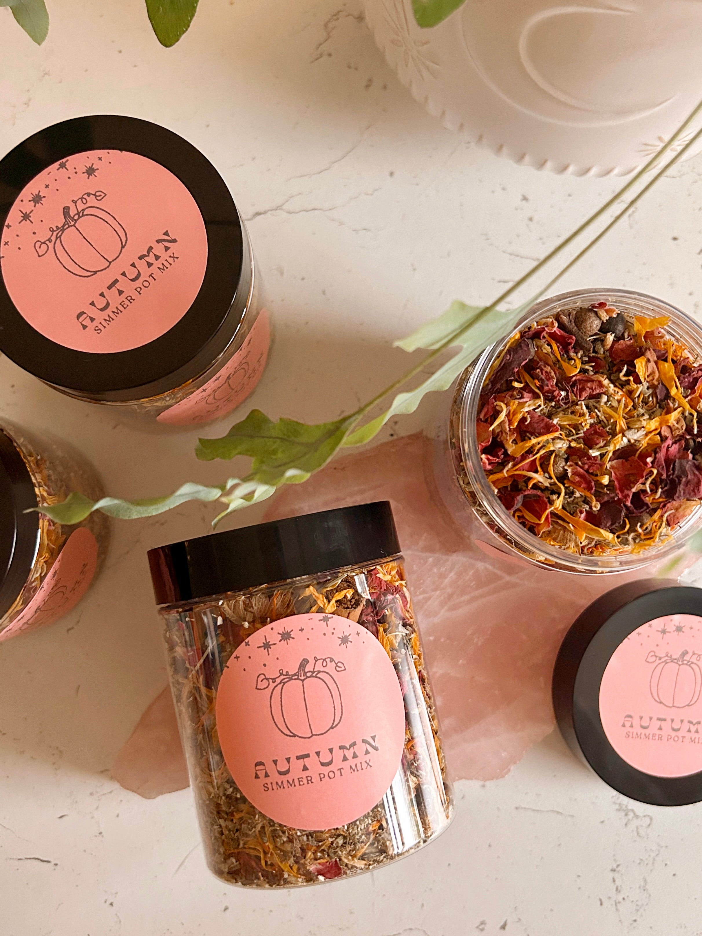 Autumn Alchemy Simmer Pot