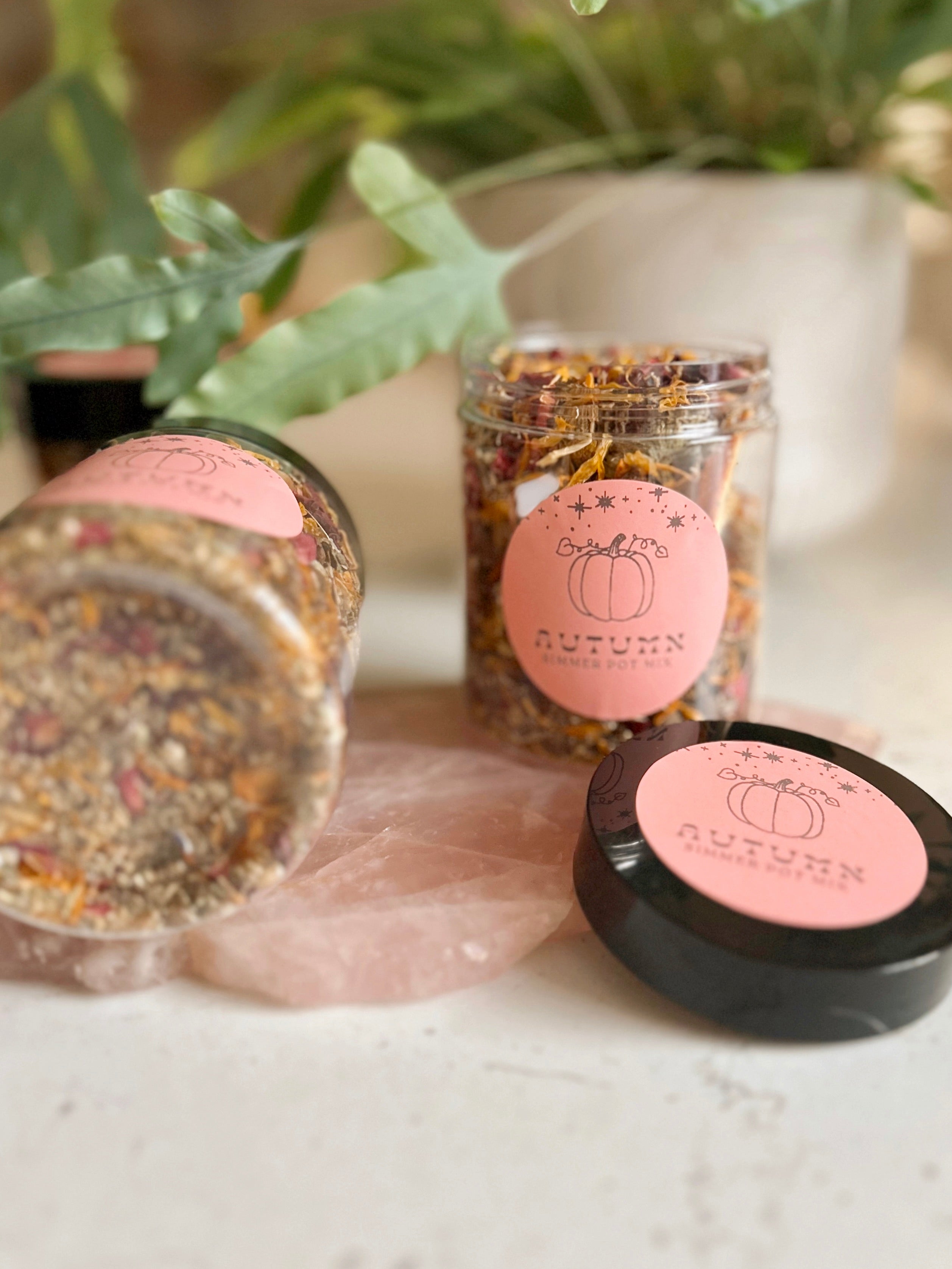 Autumn Alchemy Simmer Pot