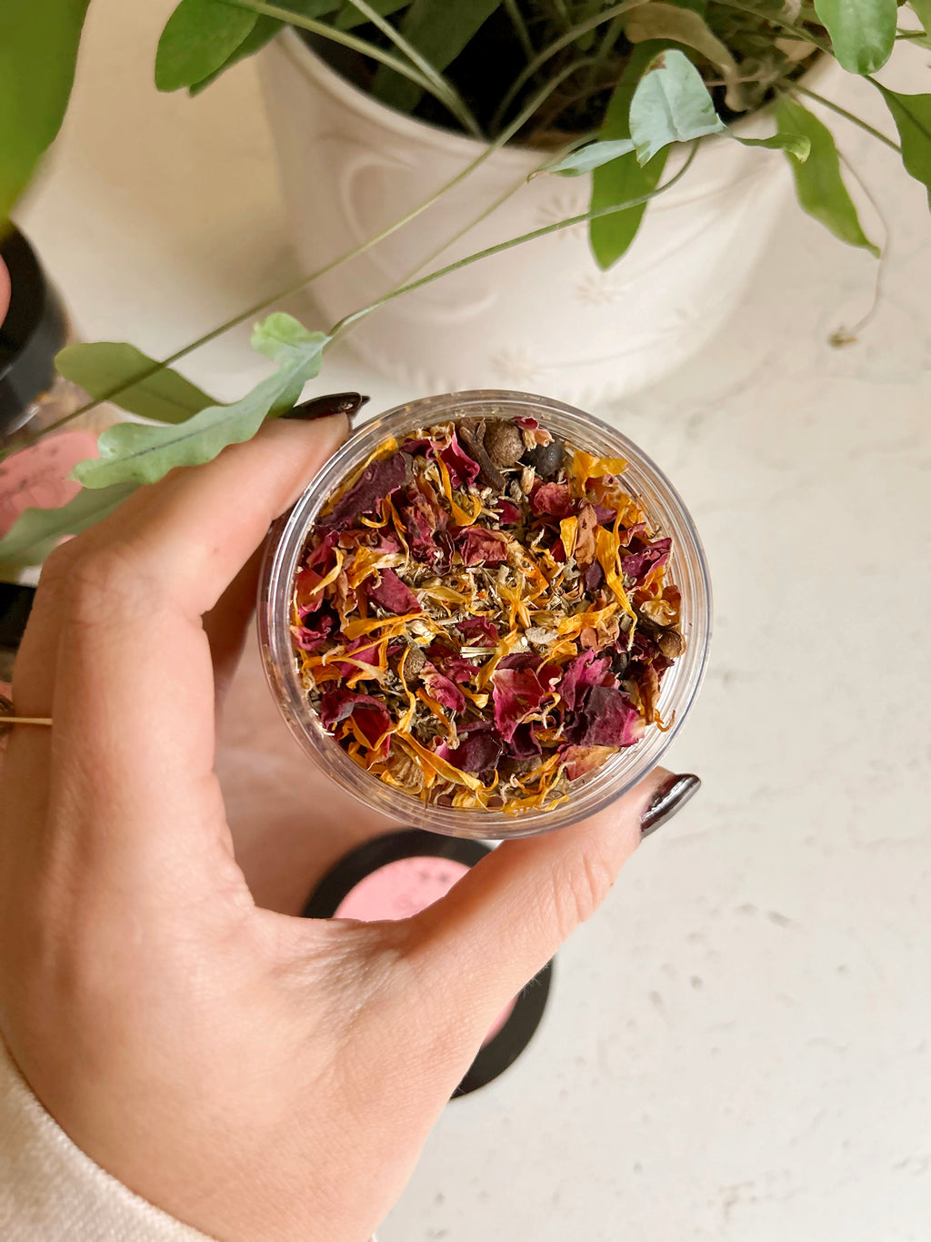 Autumn Alchemy Simmer Pot