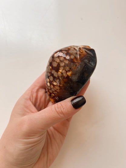 Vintage Snakehead Cowrie Shell