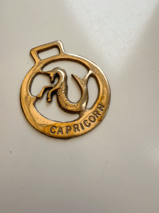 Vintage Brass Capricorn Medallion