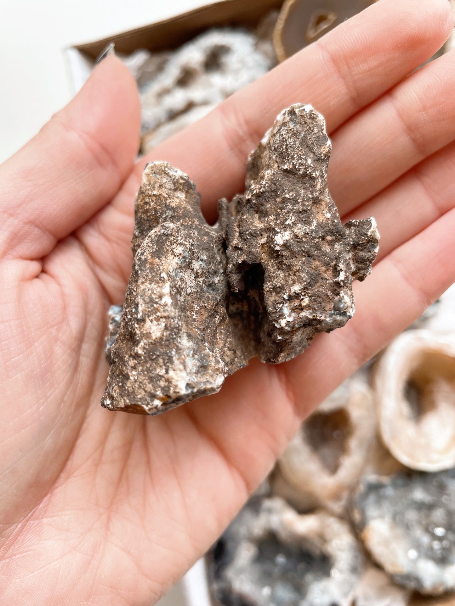 Natural Agate Geode