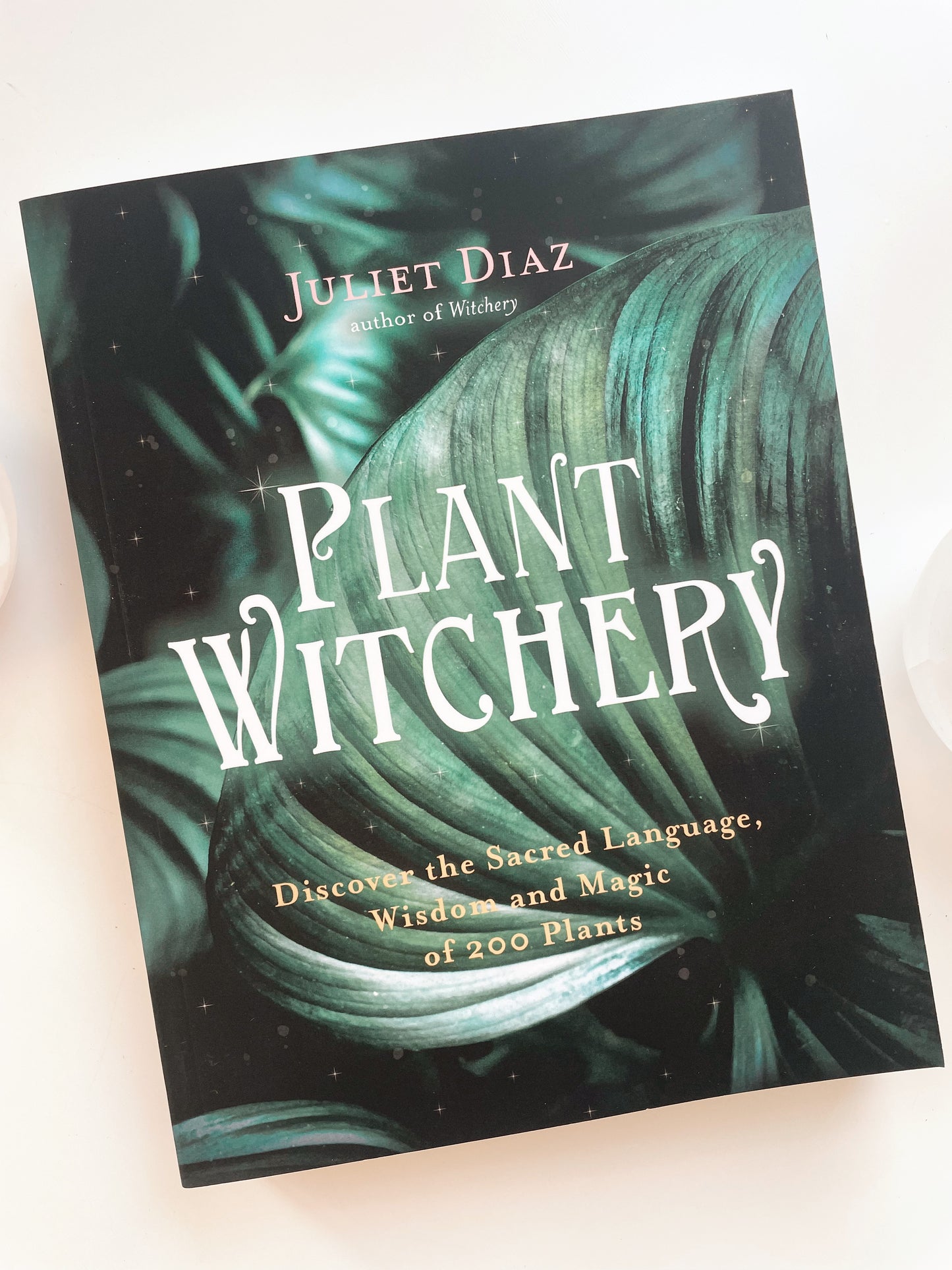 Plant Witchery | Juliet Diaz