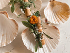 Smoke Bundle & Scallop Shell Set