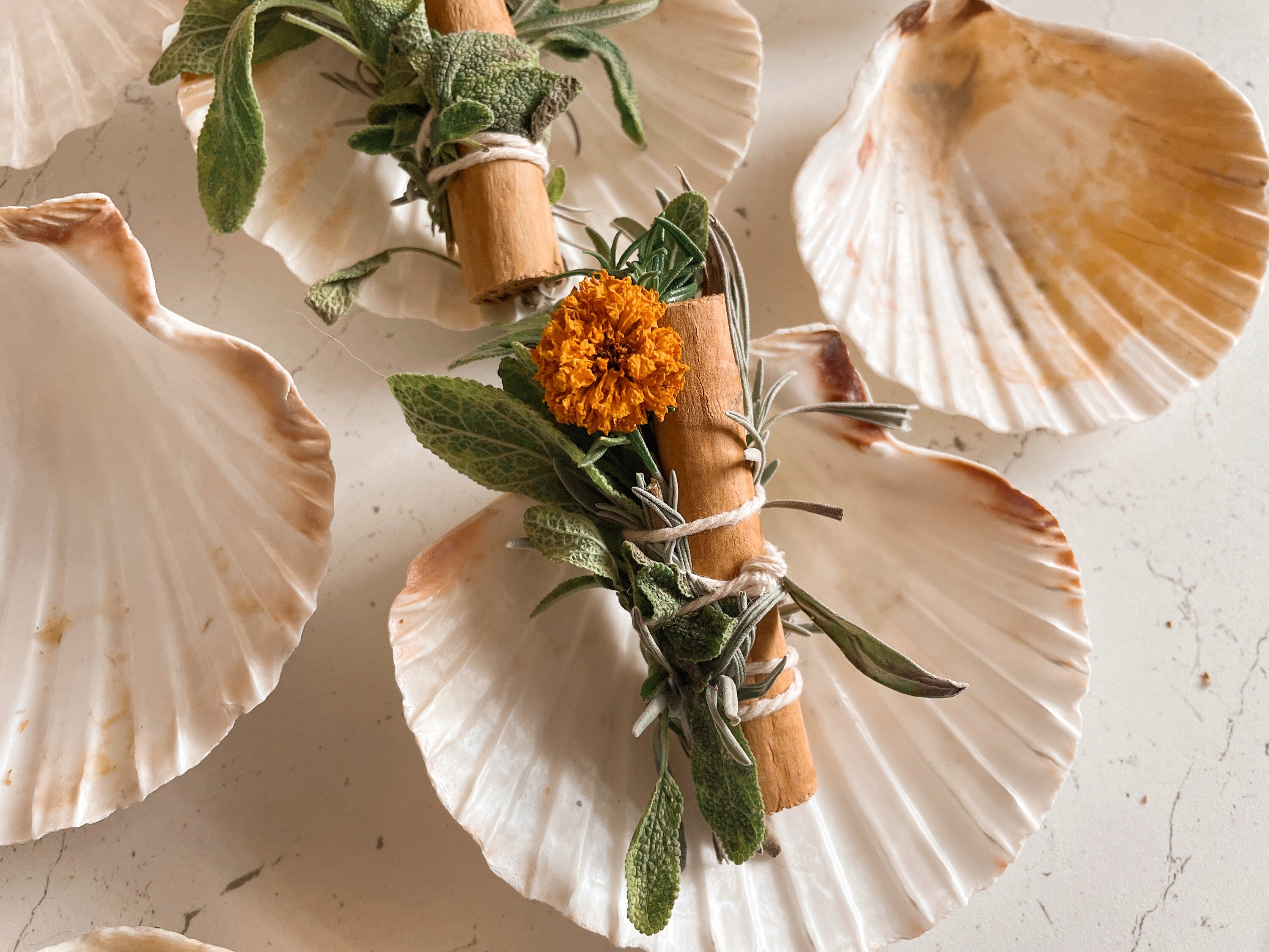 Smoke Bundle & Scallop Shell Set